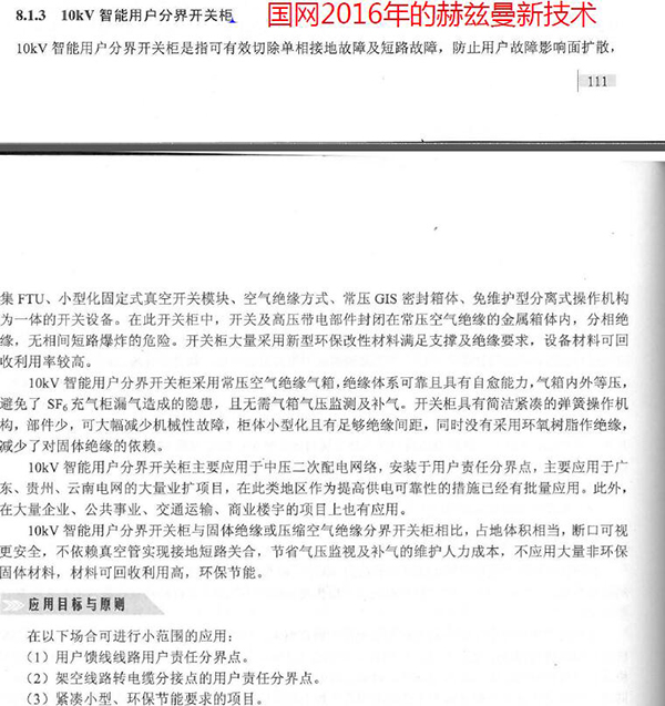 赫茲曼電力厚積薄發，技術與市場雙贏“大四喜”