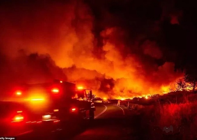 電氣事故引發加州山火，據說這個裝置可以避免事故發生！