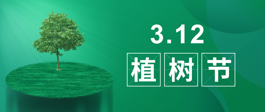 3.12植樹節|除了植樹,我們還能做什么? 3.12植樹節|除了植樹,我們還能做什么?